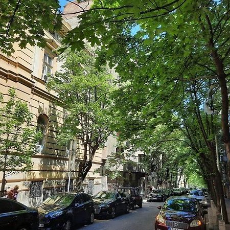 Apartment 51 - Bright, Spacious, Lux 1 Bedroom In The City Center - Stari Grad Beograd Eksteriør billede