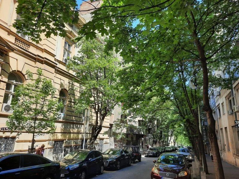 Apartment 51 - Bright, Spacious, Lux 1 Bedroom In The City Center - Stari Grad Beograd Eksteriør billede